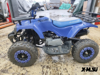 Квадроцикл MOTOLAND (МОТОЛЕНД) SCORPION 50E Синий