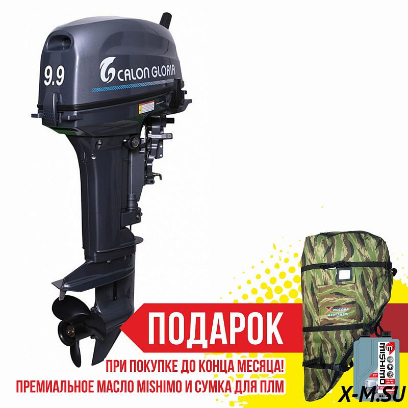 Лодочный мотор ALLFA CG T9,9 BW S Лодочный мотор ALLFA CG T9,9 BW S