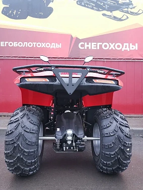 Квадроцикл IRBIS ATV 250
