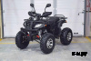 Квадроцикл Grizzly 200